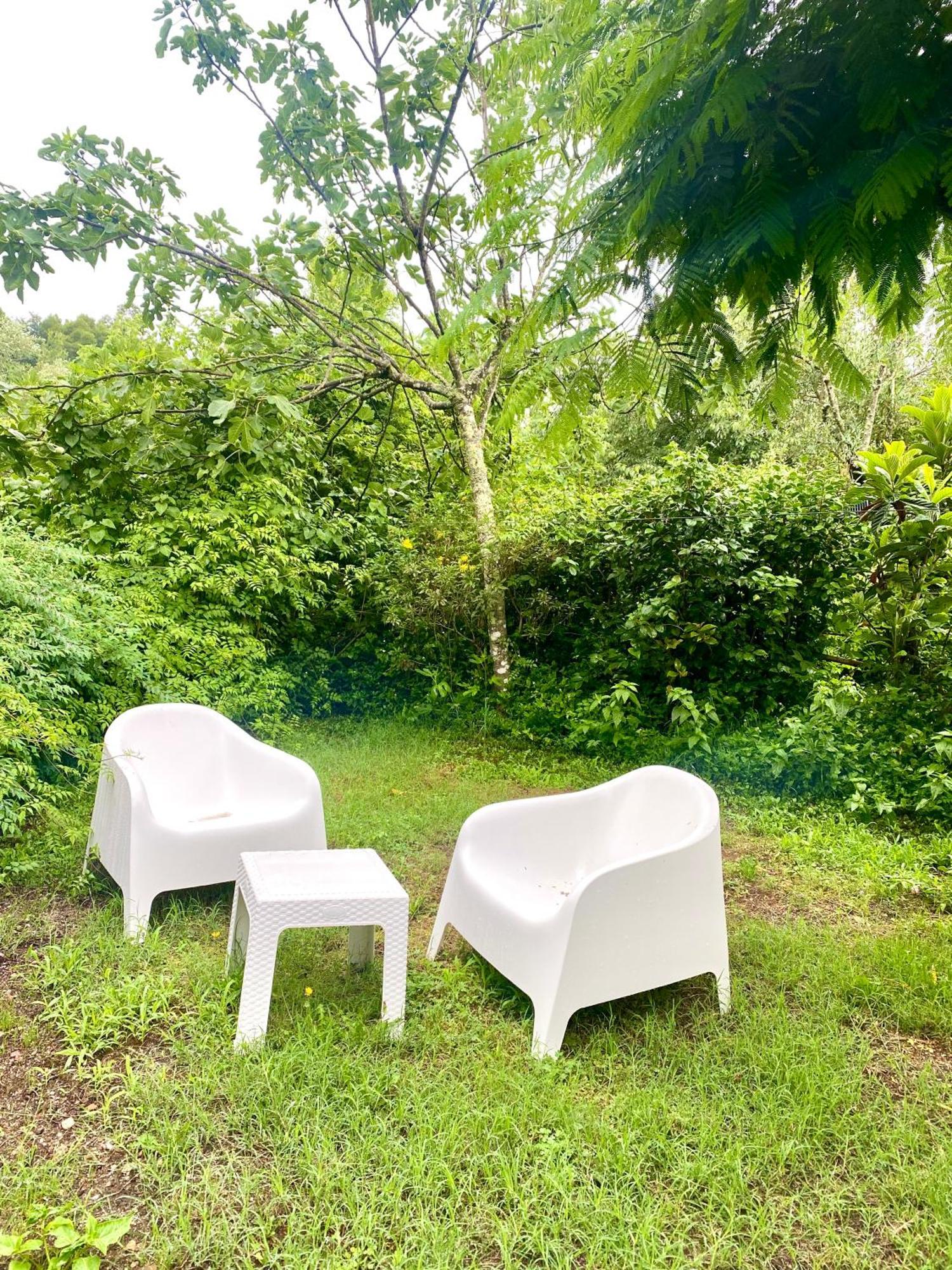 アマランテ Quinta De Ribasヴィラ エクステリア 写真