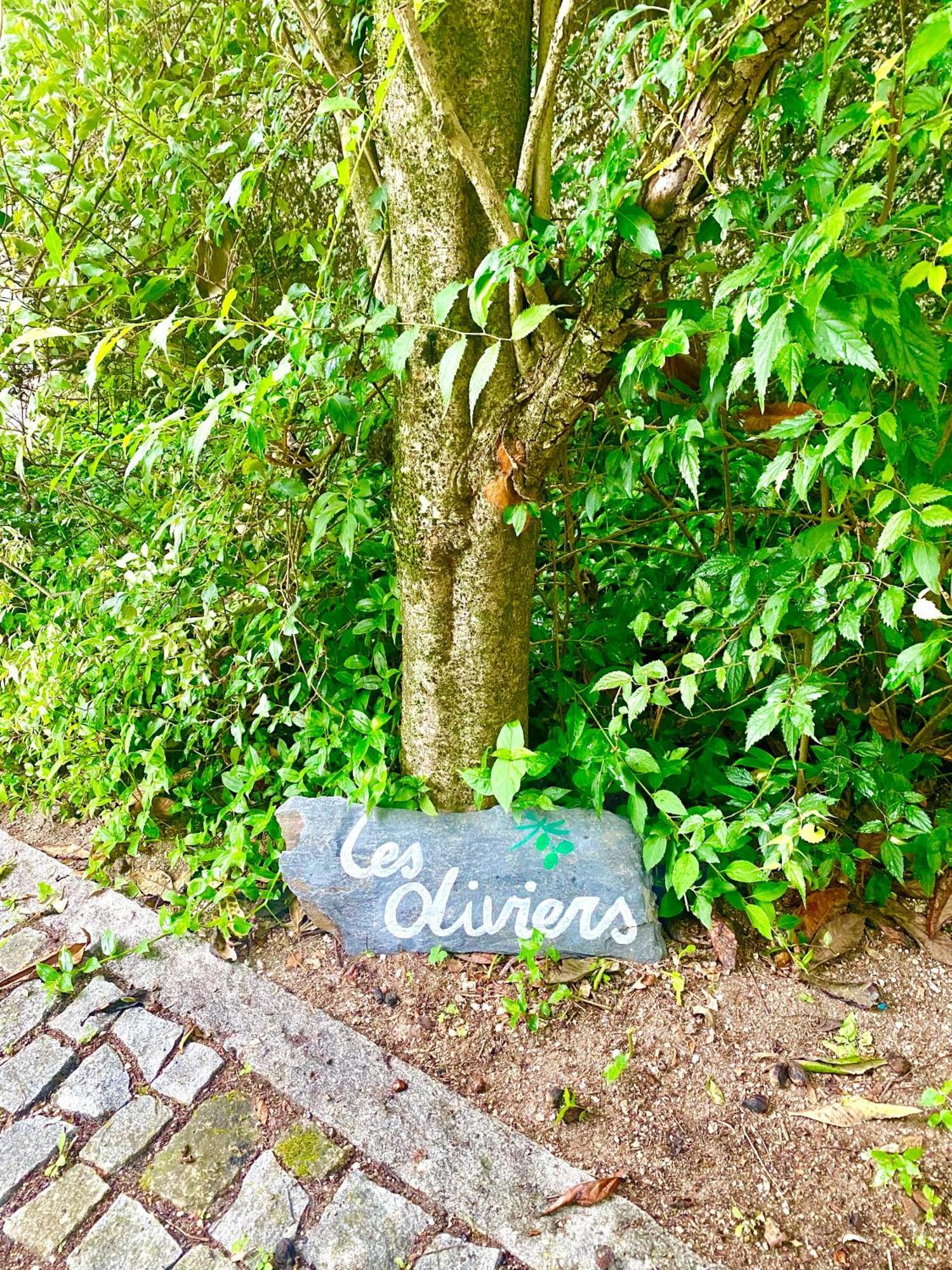 アマランテ Quinta De Ribasヴィラ エクステリア 写真