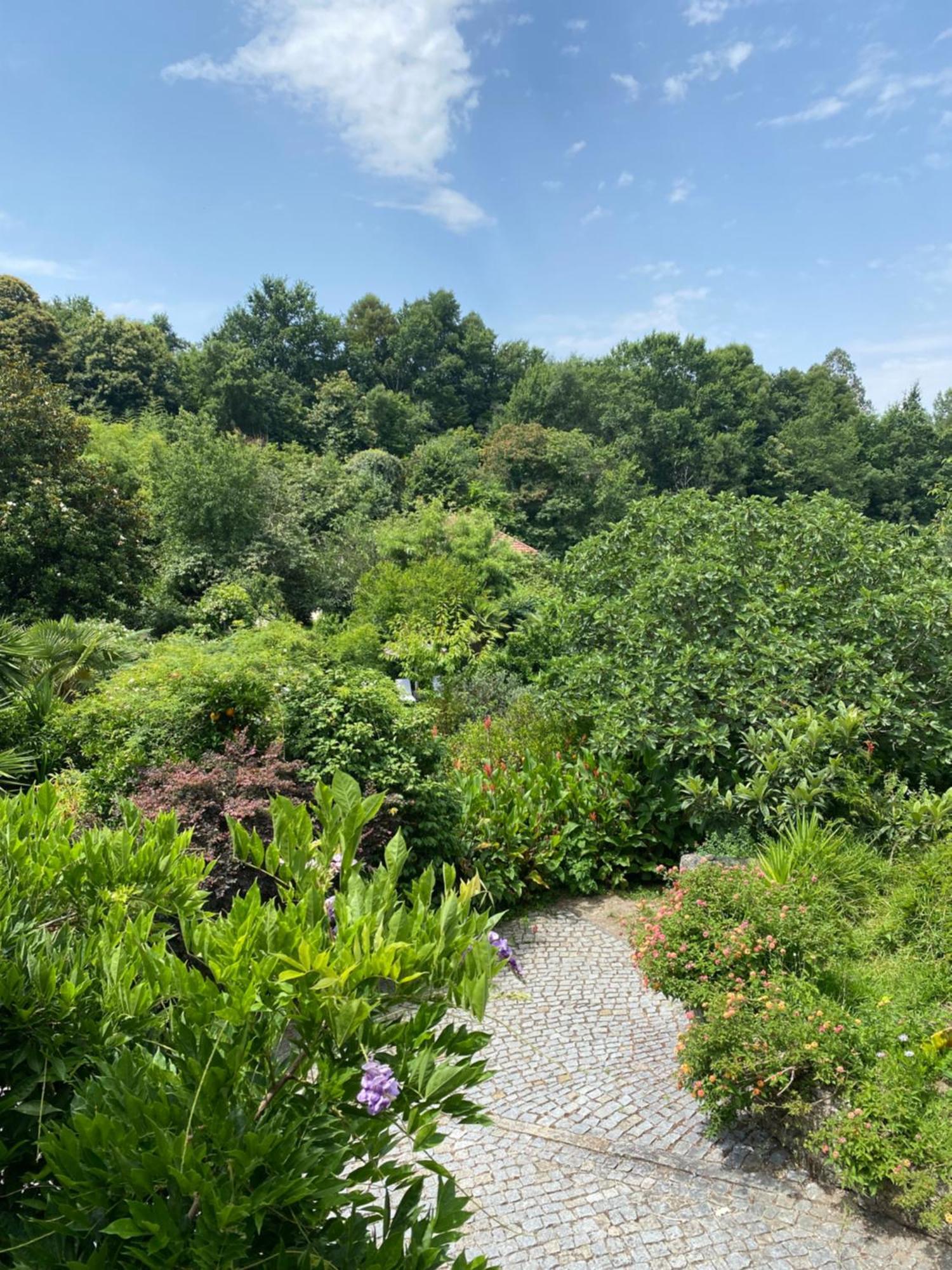 アマランテ Quinta De Ribasヴィラ エクステリア 写真